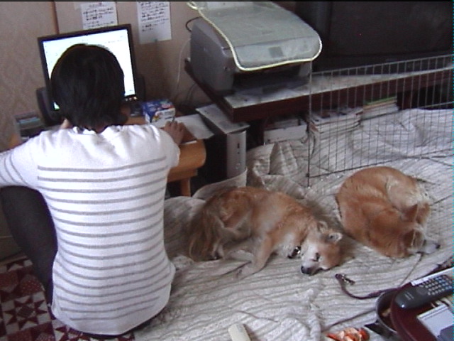 2007newyearinaomori 006.jpg